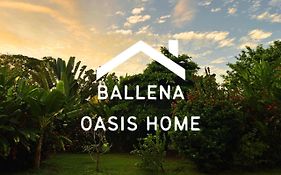 Ballena Oasis Homes & Glamping